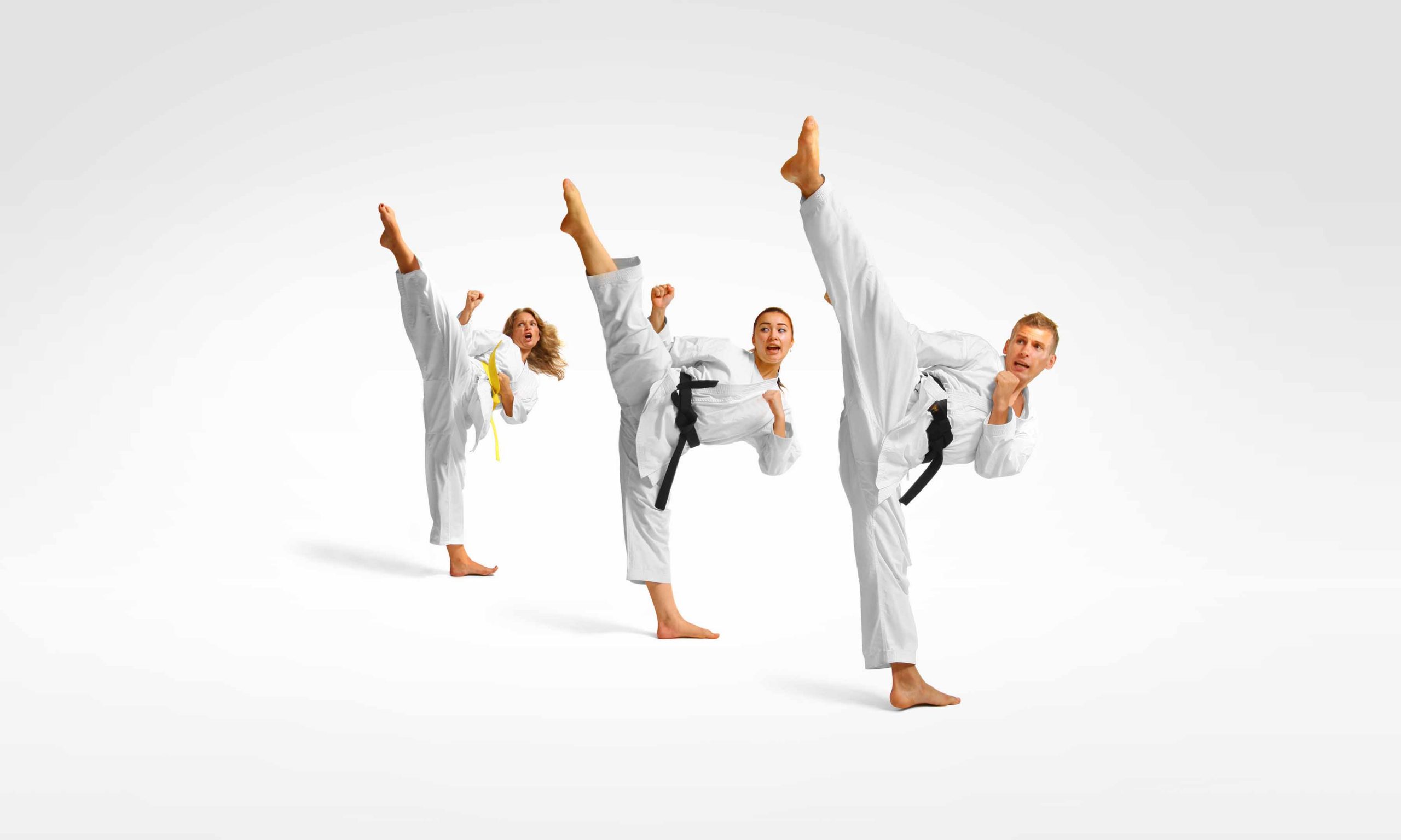 Taekwondo Instructor